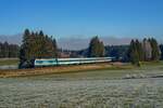 Am sehr kalten 28. November 2020 legt sich 223 071 mit ALX 84144 auf dem Weg Richtung Lindau bei Görwangs in die Kurve. 