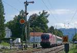 Wenige Minuten vor der Einfahrt in den Kopfbahnhof von Lindau passiert 1016 048 mit den Wagen des IC 118 von Innsbruck nach Münster (Westf) den ehemaligen Bahnübergang  Langenweg  sowie die alten Oberleitungsmasten, die zwei Monate später durch Neue ersetzt wurden. Aufnahme entstand am 05.08.2017.