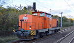 ArcelorMittal Eisenhüttenstadt Transport GmbH, Eisenhüttenstadt mit ihrer V100 Lok  61  [NVR-Nummer: 98 80 3293 061-8 D-EKO] bei der Durchfahrt Bf.