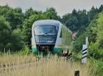 14.8.2013 12:25 VT 09 der Vogtlandbahn aus Gera nach Weischlitz kurz vorm dem Haltepunkt Krbitz.