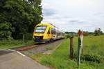 HLB/TSB Alstom Lint 41 VT201 am 11.06.19 bei Königstein 