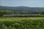 Abgesang auf die Taunus Elevated.

609 017 HLB VT17 und 609 014 HLB VT14 bei Wehrheim auf dem Weg nach Brandoberndorf. Im Hintergrund der höchste Berg des Taunus, der Feldberg von der Rückseite. Mai 2022.