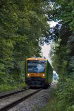 Da stimmt die Bezeichung  Waldbahn  sogar :D VT 25 am 27.07.2010 kurz nach Pankofen.