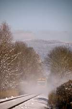 VT 15 und VT 17 durchfahren am 30.11.2010 den Wald nahe des Singerhofer Weihers, als RB 32424 nach Bayerische Eisenstein.