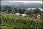 Blick vom Hügel am Kloster Birnau auf die Bodensee Gürtelbahn, die am 30.8.2022 um 9.11 Uhr gerade ein SWEG VT 622 nach Radolfzell befährt.