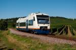 SPÄTSOMMER am KAISERSTUHL: SWEG VT 508 in den Weinbergen nahe Burkheim auf dem Weg nach Breisach.