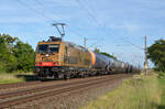 Am 09.06.24 schleppte der HSL-Goldbarren 185 597 einen Kesselwagenzug durch Greppin Richtung Dessau.