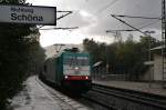 186 245-7 ITL (270 005-9 PL) durchfährt am 15.10.2014 bei strömenden Regen mit einem Getreidezug den Bahnhof Stadt Wehlen im Elbtal Richtung Schöna, weiter nach Tschechien.