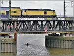 Diesellok BR246 mit einem Metronom Zug auf der Oberhafenbrücke in Hamburg. (25.05.2019)