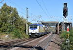 146 535 mit DPN-D 82119 (Hamburg Hbf-Hannover Hbf) bei der Einfahrt in den Bahnhof Celle