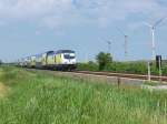 246 007-9 mit einem Metronom zwischen Cuxhaven und Otterndorf in Hhe km 267,6. (14.07.2009)