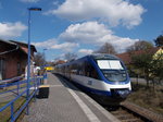 Für den NEB VT729 war,am 08.April 2016,statt Groß Schönebeck,Klosterfelde Endstation.