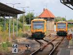 Kreuzung der Regionalbahnen der ODEG der Linie 60, VT 650.62 (98 80 0650 062-3 D-ODEG) als OE 79314 nach Berlin Lichtenberg und VT 650.70 als OE 79317 nach Frankfurt Oder in Bad Freienwalde am 12.