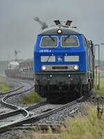 Bei feinstem norddeutschen Schmuddelwetter habe ich die Diesellokomotiven 218 055-2 und 218 054-3 vor einem SyltShuttle-Zug abgelichtet. (bei Niebüll, Juni 2024)