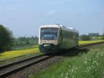 Am Nachmittag,vom 19.Mai 2012,war der PRESS VT650 032 zwischen Putbus und Bergen/Rgen unterwegs.