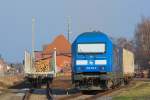Siemens dieselelektrische Lok ER 20 (Herkules) mit angeladenen Wagen zur Holzverladung auf der Torgelower Ladestrasse. - 17.02.2015