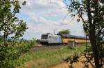 Am 13.August 2013 war RTB 185 676 mit einem Altmann-Zug bei Elze(Han) auf dem Weg Richtung Norden.