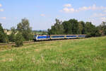 MRB 223 054 schiebt einen RE6 aus Leipzig kommend zwischen Narsdorf und Cossen in Richtung Chemnitz. (19.08.2023)