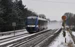 VT 305 der NOB als Zug nach Heide am 19.12.2009 bei St.