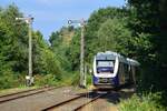 Nachschuss auf die RB32 bei der Ausfahrt in Dannenberg. Links zeigt die ehemalige Jeetzeltalbahn ab welche einst bis Salzwedel führte.

Dannenberg 31.07.2021