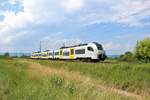 Trans Regio Mittelrheinbahn Siemens Desiro ML 460 504-4 am 10.06.18 bei Gau Algesheim 