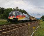 182 560 (ES 64 U2-060)  25 Jahre Mauerfall  mit geschlossenen ARS-Autotransportwagen in Fahrtrichtung Süden. Aufgenommen in Wehretal-Reichensachsen am 28.08.2015