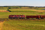 Lokportrait von 193 555 ATLU/TXL  Offroad  mit einem E-Wagenzug bei Oberdachstetten Richtung Ansbach, 06.08.2020
