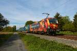 TX Logistik Siemens Vectron 193 878-6 mit LKW Walter KLV in Maintal Ost am 04.10.22
