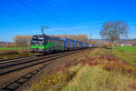 193 264 ELL/TXL  Born to Rail  mit einem LKW-Walter KLV-Zug bei Retzbach-Zellingen Richtung Würzburg, 18.11.2020