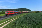 Ein Minion auf Reisen gab es am 17. Mai 2020 im Führerstand der 155 159 von Wedler Franz Logistik zu sehen. Mit der 232 356 und einem leeren Holzzug aus Kaufering im Schlepp war der orientrot lackierte Sechsachser auf dem Weg Richtung Würzburg und weiter nach Ostdeutschland unterwegs. Kurz hinter Treuchtlingen konnte ich die beiden ehemaligen Reichsbahnloks fotografieren.  