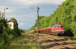 232 238-6 (WFL) fuhr am 31.05.22 mit einem Holzzug von Triptis nach Torgau. Hier ist der Zug in Oppurg zu sehen.