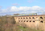 Hamsterpärchen als RB 17a/17c Pforzheim/Bruchsal-Stuttgart Hbf am 21.02.2020 auf dem ENtviadukt in Bietigheim.