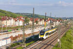 442 119 als RB18 Tübingen-Osterburken am 02.07.2021 am Eszetsteg in Stuttgart.