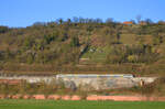 Eine  bwegte  Abellio  Hamsterbacke  8442 ist am 26.03.2022 im Neckartal bei Mosbach auf dem Weg von Heilbronn nach Heidelberg.