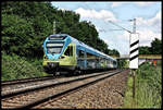 Westfalenbahn ET 019 nach Münster ist hier am 31.5.2017 um 16.20 Uhr in Osnabrück Hellern kurz vor Hasbergen unterwegs. 