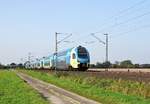 Alpha Trains Europa 445 003/703, vermietet an Westfalenbahn (ET 603), als RE 60 (95827)  Ems-Leine-Express  Bielefeld Hbf - Braunschweig Hbf (Lindhorst, 16.10.17).