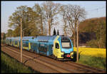 Zwischen Laggenbeck und Velpe ist hier der ET 601 der Westfalenbahn am 20.4.2019 um 19.01 Uhr auf dem Weg nach Braunschweig.