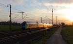 Ein Kiss von Stadler unter der Westfalenbahn betriebenen Firma fährt mit dem 5 teiligen Zug und dem Streiflicht der aufgehenden Sonne als RE 30 nach Rheine.