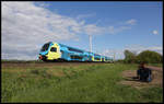 Vor den großen Windrädern bei Westerhausen ist hier der ET 610 der Westfalenbahn am 5.5.2020 um 16.31 Uhr von Braunschweig nach Rheine unterwegs.