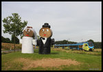 Auch die Westfalenbahn wurde hier zum  Hochzeitszug ! ET 411 passiert das  Hochzeitspaar  bei Velpe am 7.7.2016 um 18.24 Uhr in Richtung Rheine.