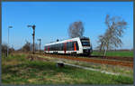 1648 446 passiert am 30.03.2021 die östlichen Ausfahrsignale des Bahnhofs Rätzlingen.