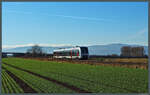 Vor der Kulisse des schneebedeckten Brockengipfels eilt der Abellio-Triebwagen 1 648 439 bei Heudeber als RE 75757 dem nächsten Halt in Halberstadt entgegen.