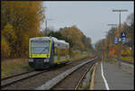 Feiertagsruhe in Münchberg: Der Agilis VT 650 081 steht an Allerheiligen, 01.11.2024, auf dem Anschlussgleis zum Umspannwerk und wartet auf seinen Einsatz.