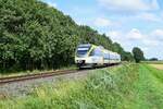 Alpha Trains Europa 643 125/625, vermietet an Keolis Deutschland/Eurobahn (VT 3.02), als RB 71 (89647)  Ravensberger Bahn  Rahden - Bielefeld Hbf (Espelkamp, 24.08.2021).