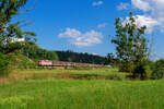 139 309 BayernBahn mit dem Henkelzug bei Oberdachstetten Richtung Würzburg, 16.08.2020