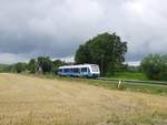 Seit dem 07.07.2019 betreib die Bentheimer Eisenbahn die Linie RB 56 von Bad Bentheim nach Neuenhaus.