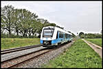 Bei Hestrup ist hier der VT 113 der Bentheimer Eisenbahn am 8.5.2023 um 11.41 Uhr nach Bad Bentheim unterwegs.