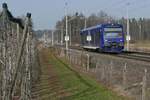 Kurz vor Meckenbeuren befindet sich VT 63 (650 353) der Bodensee-Oberschwaben-Bahn als RB 91 / RB 87579 auf der Fahrt von Ravensburg nach Friedrichshafen (24.02.2021).