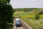 VT 69 der BOB passiert eine bltenberste Wiese bei Lohner, 26.04.11