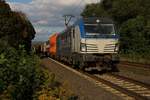 Spot an für 193 841 mit Containerzug in Fahrtrichtung Süden.